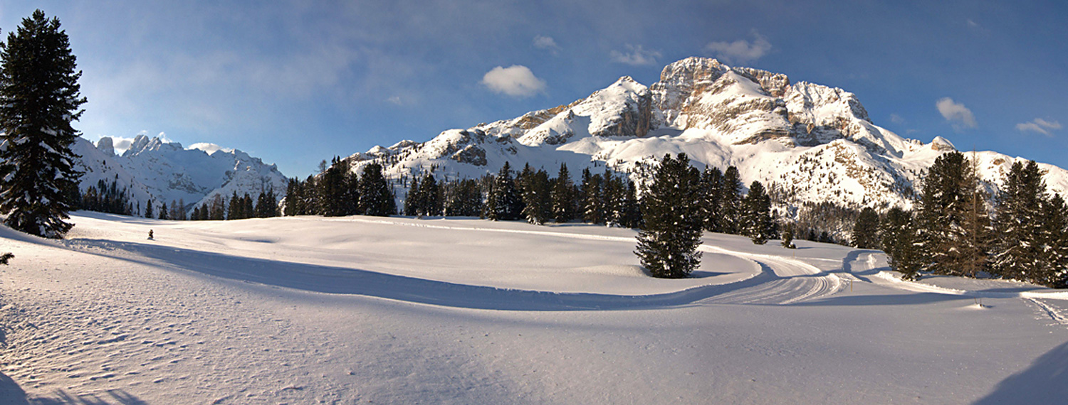 Winter auf der Plätzwiese